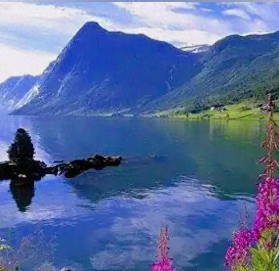 波得定律与坏榜样的法则