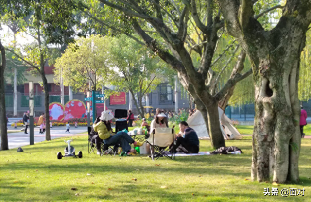 🌞广汉金雁湖公园：冬日里的“阳光能量站”