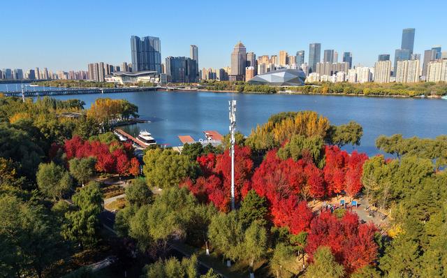 辽宁沈阳：秋意正浓 景色如画