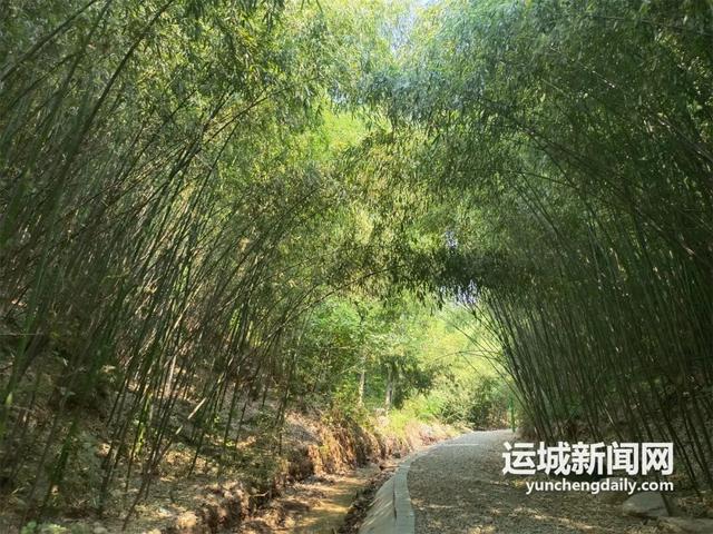 游娱食学，来永济竹林村共赴“诗和远方”