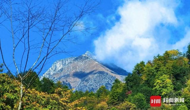 唐家河红叶季云端启幕：生态奇观与千年文脉共绘金秋盛景