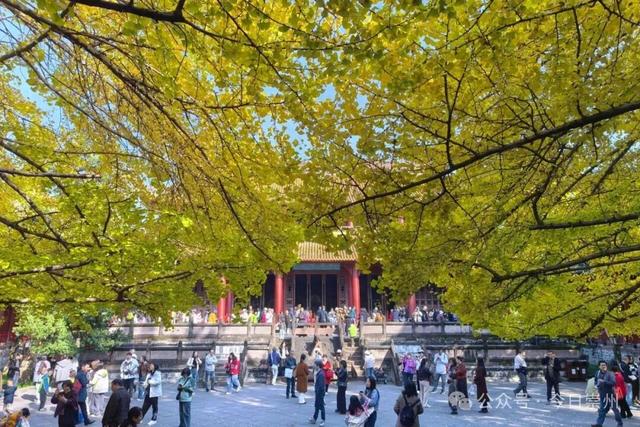 来罨画池，一定不要错过……