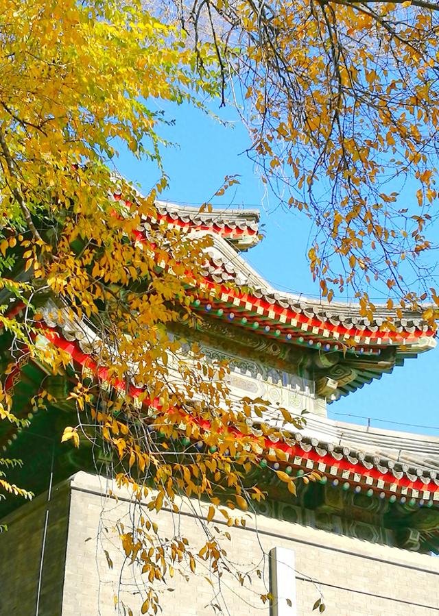 狂风散尽现碧空 北京市民陶然亭公园共赴“大风蓝”之约