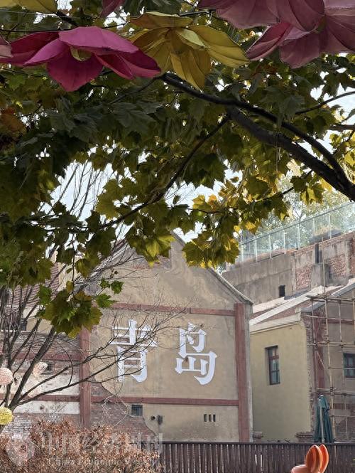 青岛：海的乡愁，酒的酣畅