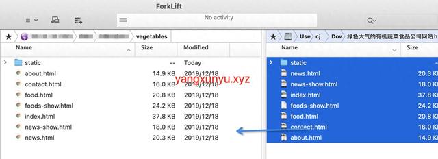 食品网站建设（服务器搭建绿色大气的有机蔬菜食品公司网站html源码）