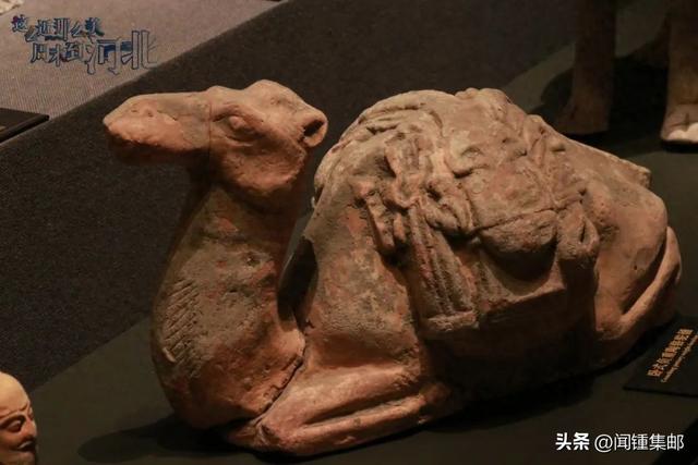 周水子与梭鱼湾