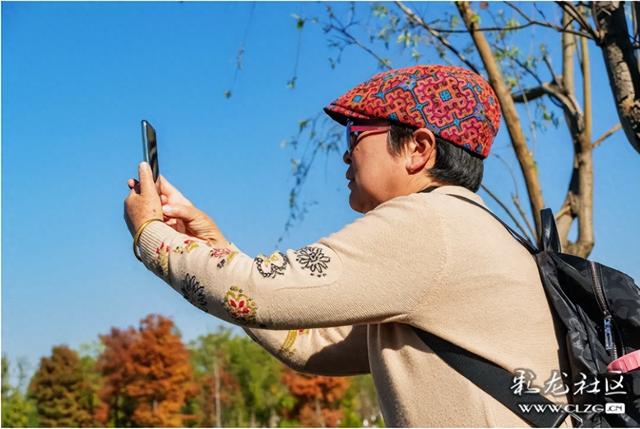 昆明草海公园：滇池边的诗意栖居