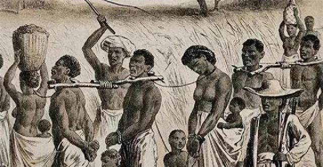 扒光衣服只为卖皮子？这段黑历史，每一笔账都让人胆寒