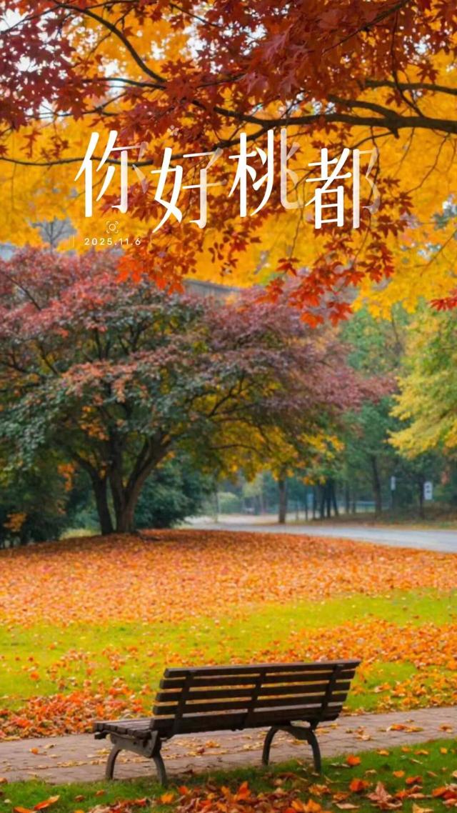 你好，桃都！『2025.11.6』