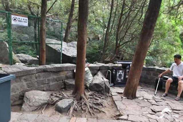 游客爬泰山有了休息驿站！泰山十二连盘微景观改造升级