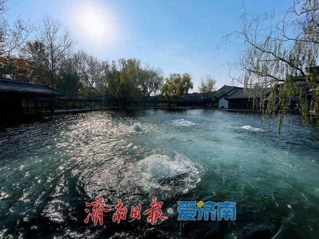 泉水欢腾醉游人