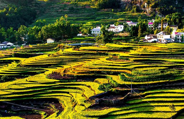 汉阴凤堰梯田：大地的诗行，岁月的稻香