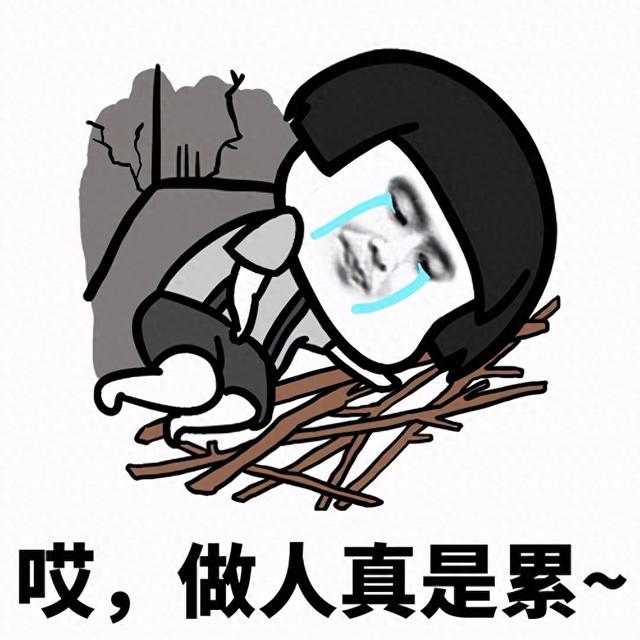 进学生会申请书（大学需要加入学生会或竞选班干部吗）