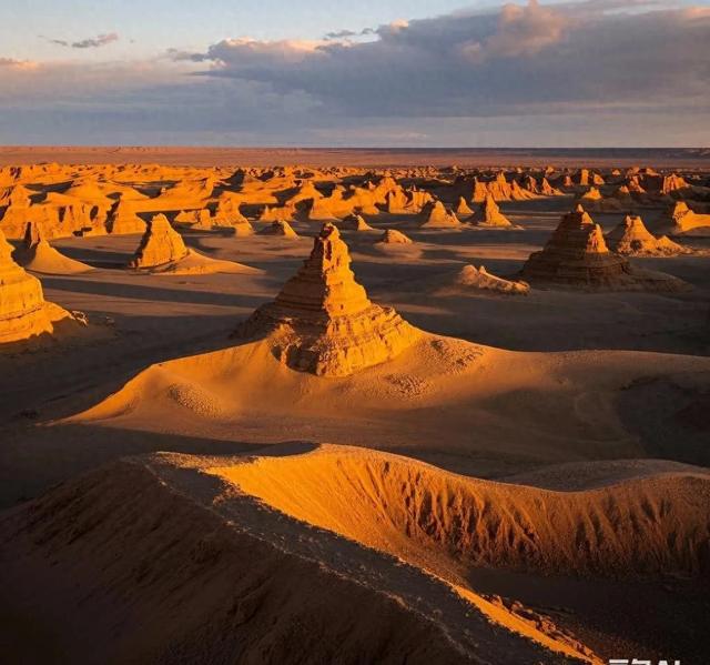 2025年10月30日 第55页