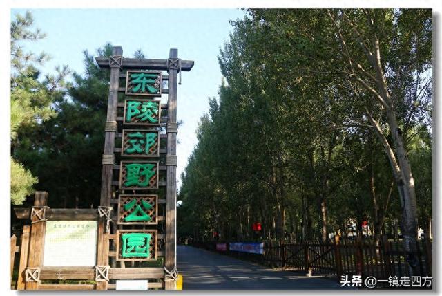 沈阳东陵郊野公园“精灵”出没