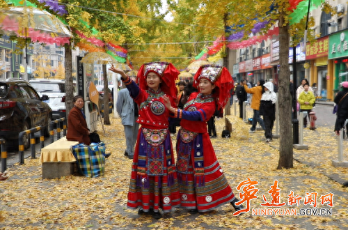 宁远：金黄银杏扮靓县城