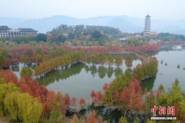 重庆开州汉丰湖国家湿地公园水中彩林美如画