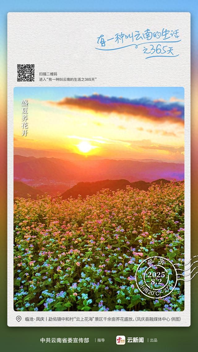 临沧有一片粉色的“海”——有一种叫云南的生活之365天