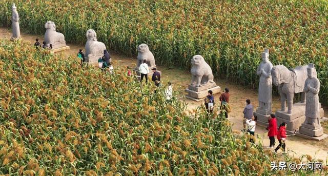 来这里，解锁千年的“限定秋色”！