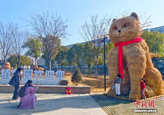 南昌冬日稻草人“值守”珍奇植物园 引客打卡