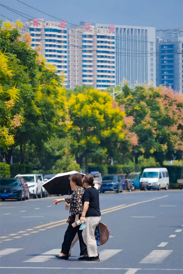 醴陵的秋天，是懂氛围感的
