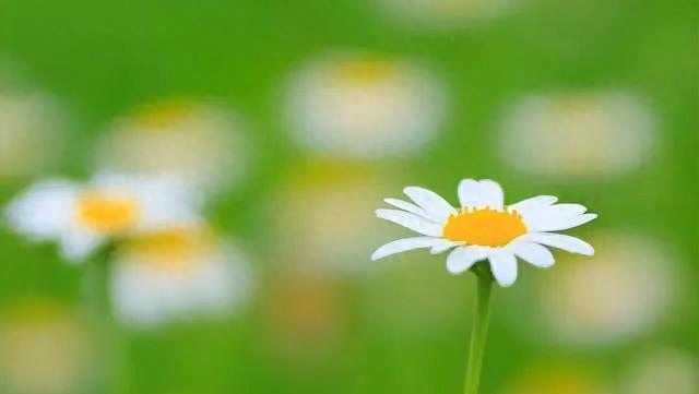 女人	，在以下两个时期最容易动真情，男人要懂得好好把握