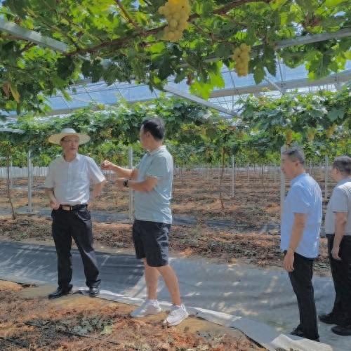 市人大常委会调研组开展推进全市乡村文化旅游高质量发展工作调研