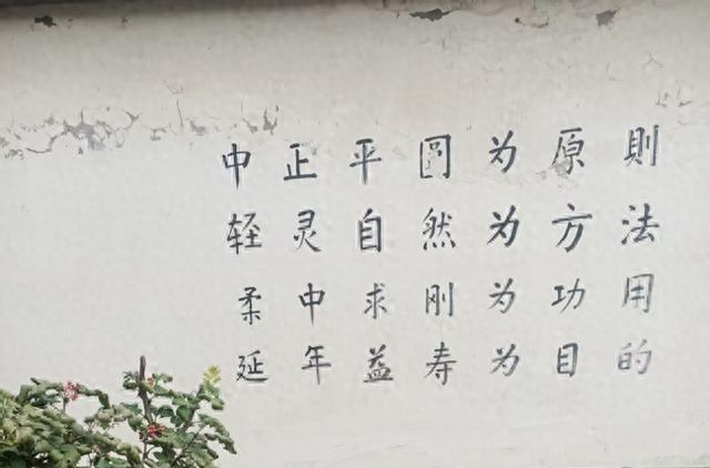 赵堡太极拳名家郑钧先生“太极小院”墙壁太极书法思维