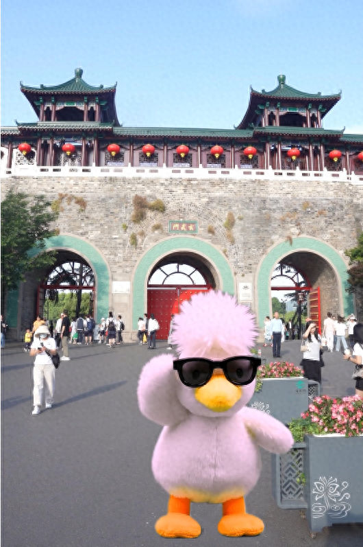 来都来了，就别空手走了！
