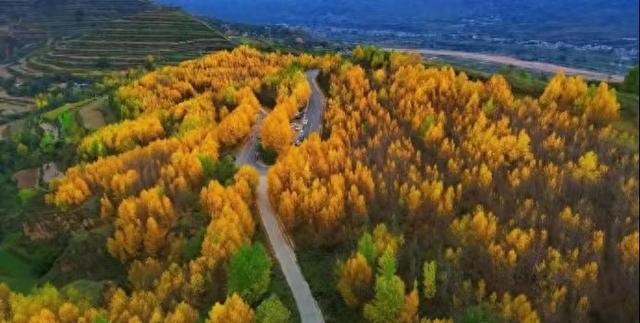 诗意甘肃｜渭水河畔的千年药乡——陇西