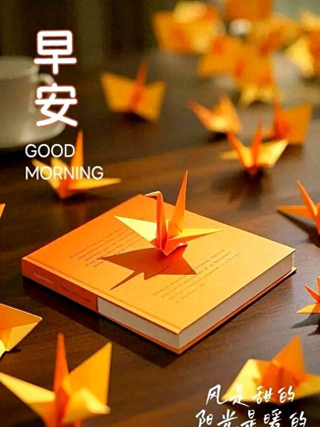 早安文案：往事不回头，未来不将就 早安～