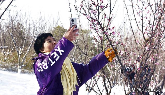西流湖公园：傲雪寒梅俏枝头雪景如画醉游人