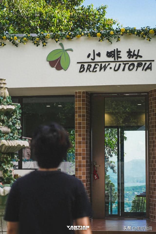 星期五，盐田上新啦 | 登山、观海、品咖、撸猫，真的太松弛了吧……