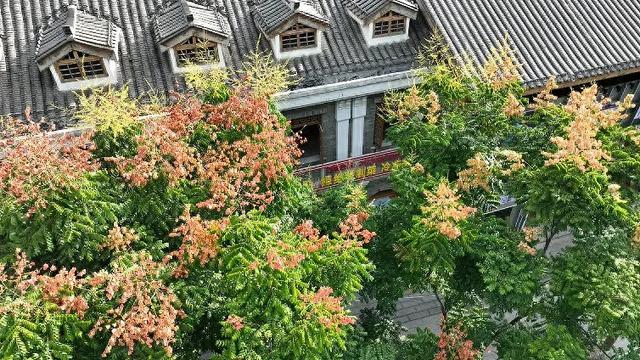 国庆来桐梓这样拍～惊艳朋友圈