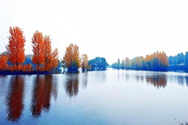岱岳区夏张镇东城水库：色彩斑斓 秋景如画