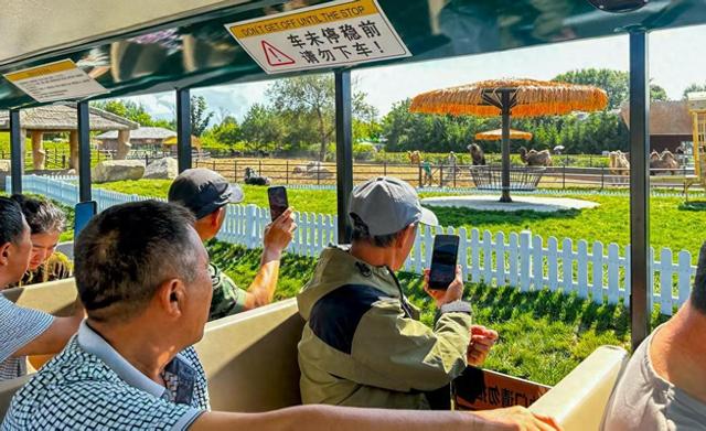 跨越屏障，沉浸自然：齐齐哈尔龙沙动植物园全新“穿梭动物城”互动式观光火车项目正式启幕