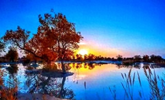 发现一个现象：父母有退休金的家庭，基本上会有这几种共性