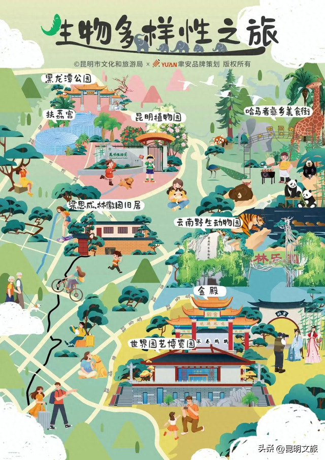 探索自然野趣、探秘植物王国……带孩子来昆明避暑，走这条线路必游！