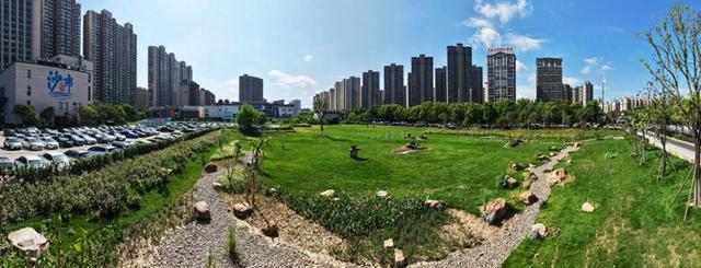 荆州宝藏公园+1！沙市又一口袋公园全新开放！