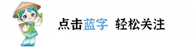 皖美秋日｜【石台深秋】一半是晒秋烟火，一半是山水诗意