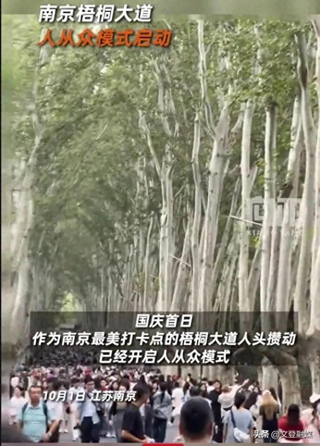 南京梧桐大道人从众模式启动