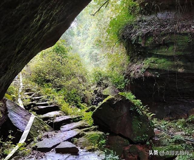 成都爬山徒步线路，全部免费，魅力不可挡，尽享山野宁静与清幽！