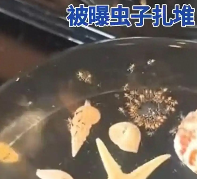 花 7 千住酒店虫子到处蹿，这是贫穷限制了想象吗？