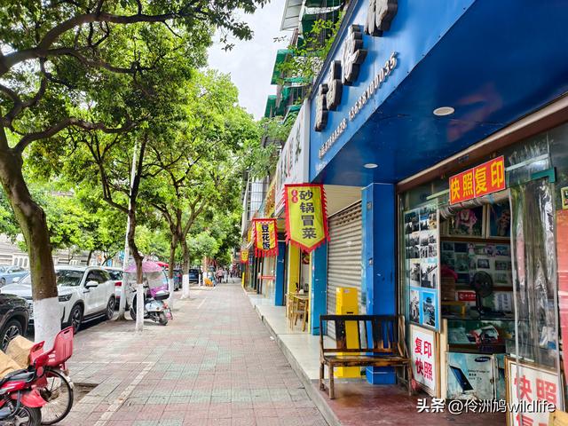 成都古镇（15）郫县唐昌古镇崇宁公园·大椿巷