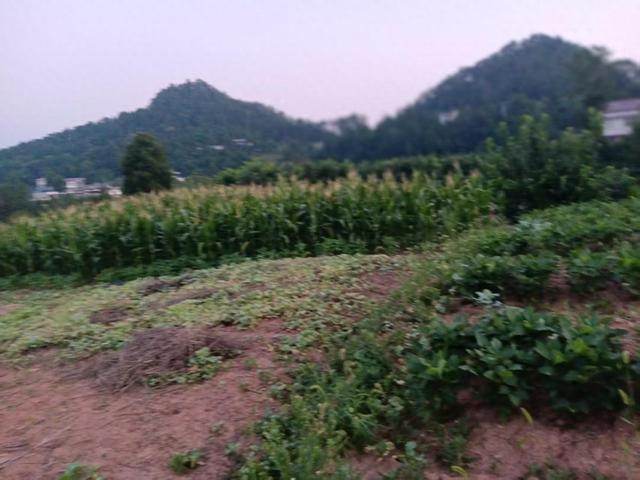 灵秀双灵山