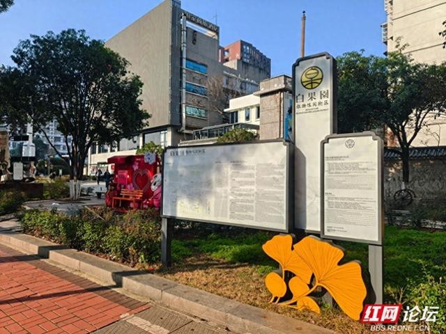 【赴春之约】大隐隐于市，带你走进长沙白果园的静谧深处