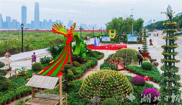 武汉金秋菊展剧透！巴公房子、黄鹤楼菊花造型惊艳