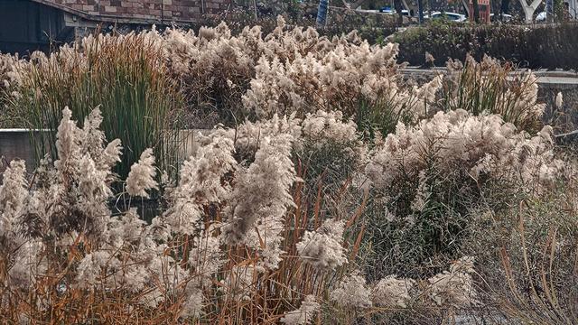游东太行，望群山 ，感悟‘云海翻腾走龙蛇，绝壁生辉见奇峰’