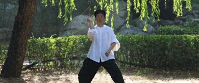 太极拳为啥不说“力”？原来“劲”藏着这些门道