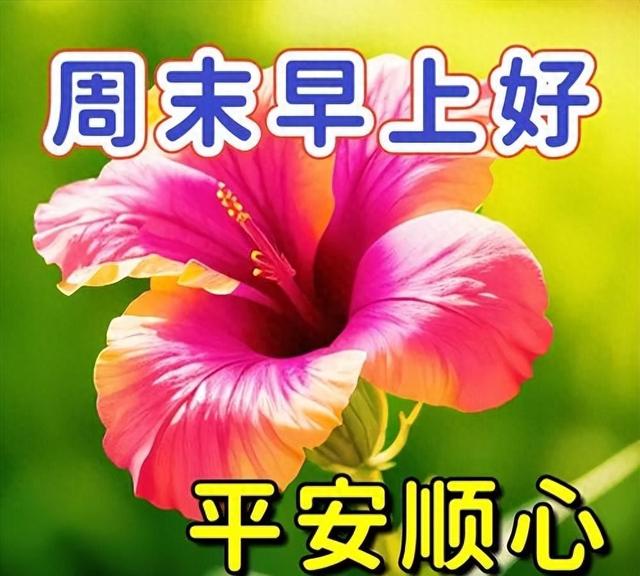 立冬的祝福语一句话2021（今天早安最新祝福语短句）